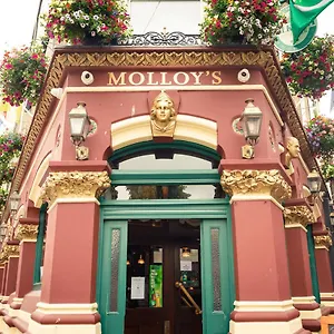 Molloys Dublino